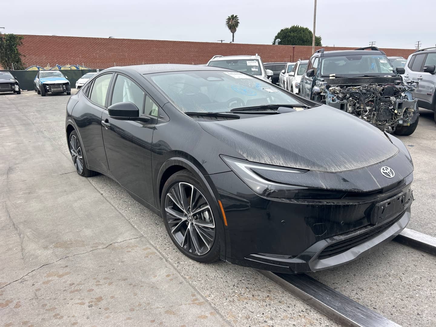 Toyota Prius Limited 2025