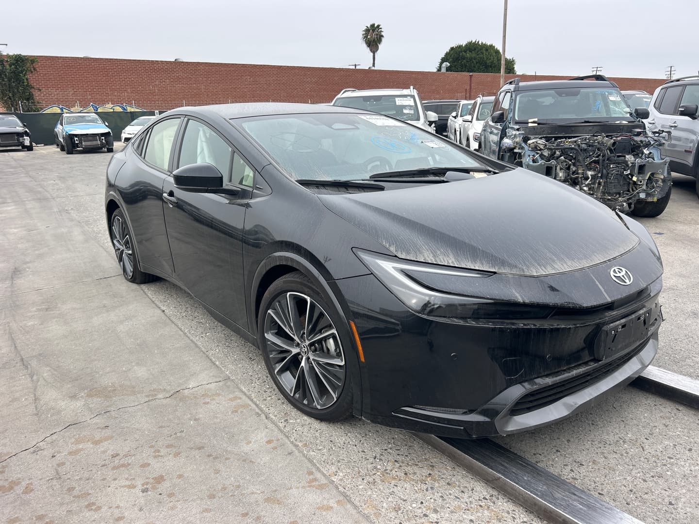Toyota Prius Limited 2025